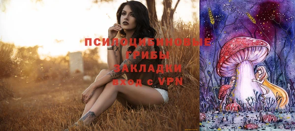 стафф Алексеевка